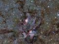 天文台拍摄到形似“宇宙龙虾”的壮观恒心照片