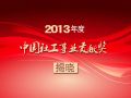 13家单位和个人获2013年度中国社工事业贡献奖