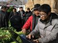 大学生村官用微博帮村民卖光十二万斤滞销芹菜