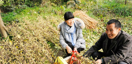 峡口社工站的刘益和几位社工给大石村的苗木户刘清明送去了礼品盒和礼品袋
