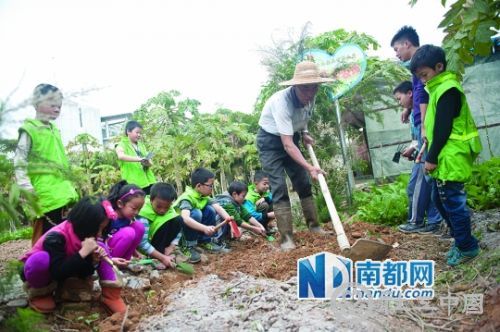 <p>    →在万江创业园区，企业社工们启动了“爱心农场”项目，企业员工及子女成为志愿者，在农场种植果蔬送给附近的孤寡老人。南都记者 陈奕启 摄</p>