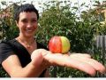 澳大利亚居民种出红绿对半分的变种苹果