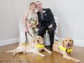 导盲犬当“红娘” 英国盲人男女相爱结婚