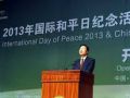 杨森副会长出席“2013年国际和平日纪念活动”
