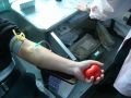 郴州好司机：连续献血19个月为孕妇保下龙凤胎