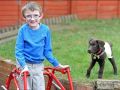 英救助犬照顾7岁肌肉萎缩男孩起居