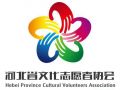 全国首个省级文化志愿者协会在河北成立