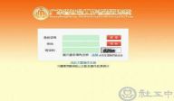 广东社工登记系统正式上线  登记工作呈现四大亮点