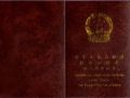 齐齐哈尔龙沙区30名社工有了“身份证”