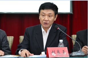 中国社会工作联合会副会长刘良玉