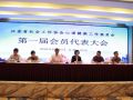 江苏省社会工作协会心理健康工作委员会正式成立