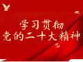 民政部党组成员、副部长詹成付在《红旗文稿》发表署名文章：深刻认识党的二十大的重大意义