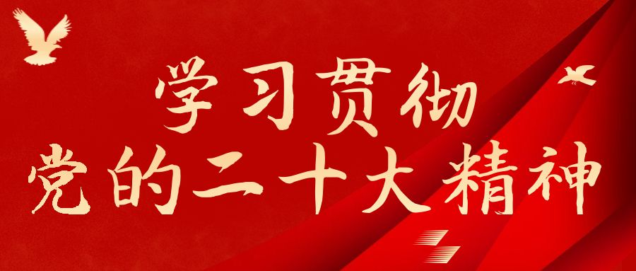 中国社会工作联合会召开专题会议学习贯彻党的二十大会议精神
