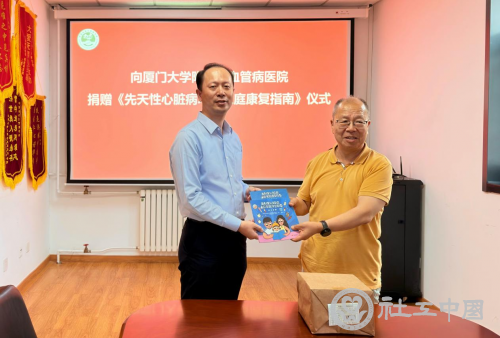 图片6